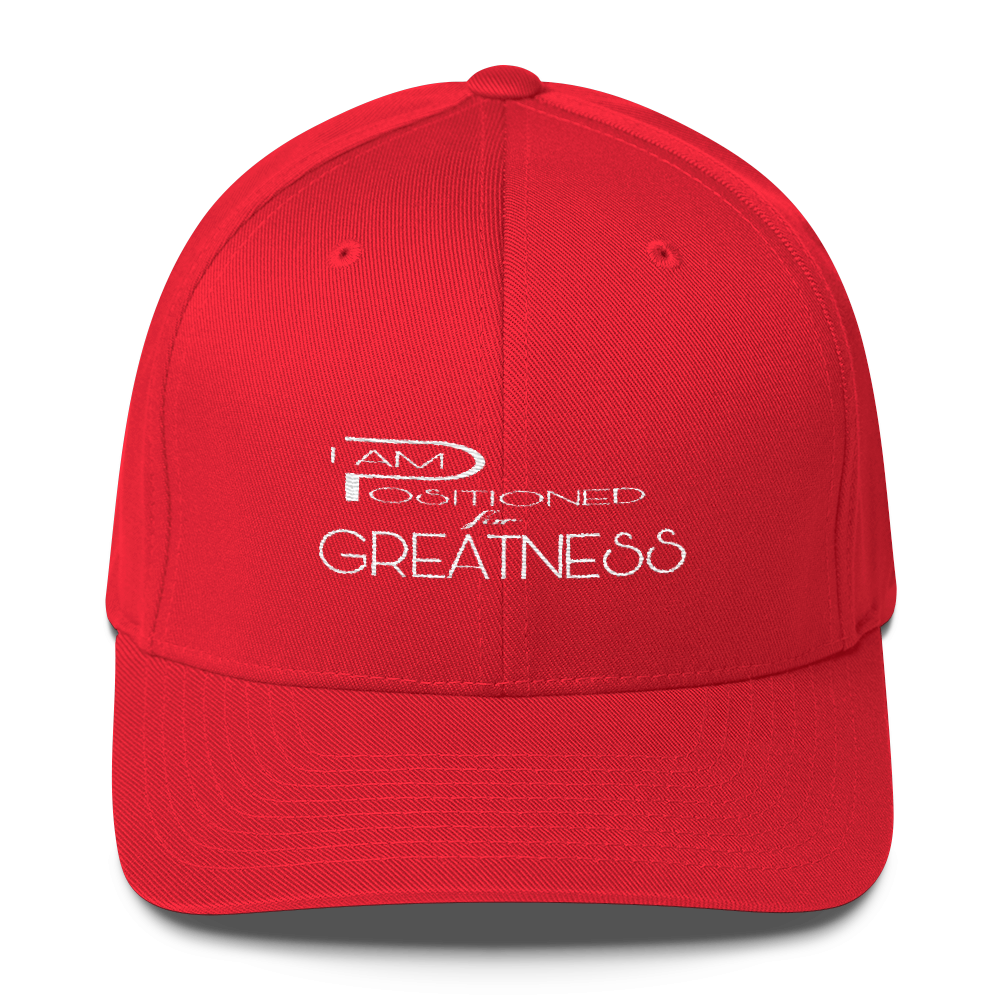 Positioned for Greatness Flex Caps - Be Ye AWARE Clothing