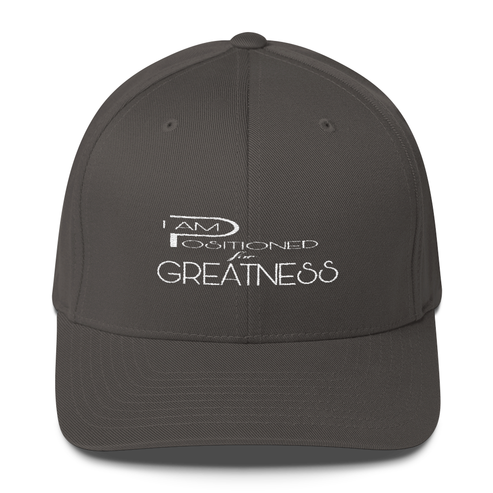 Positioned for Greatness Flex Caps - Be Ye AWARE Clothing