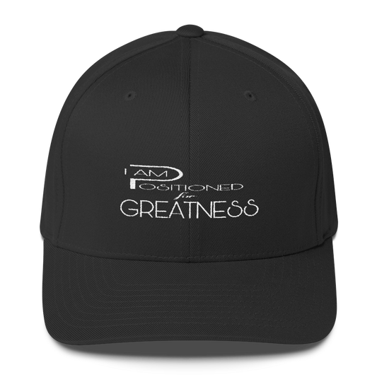 Positioned for Greatness Flex Caps - Be Ye AWARE Clothing