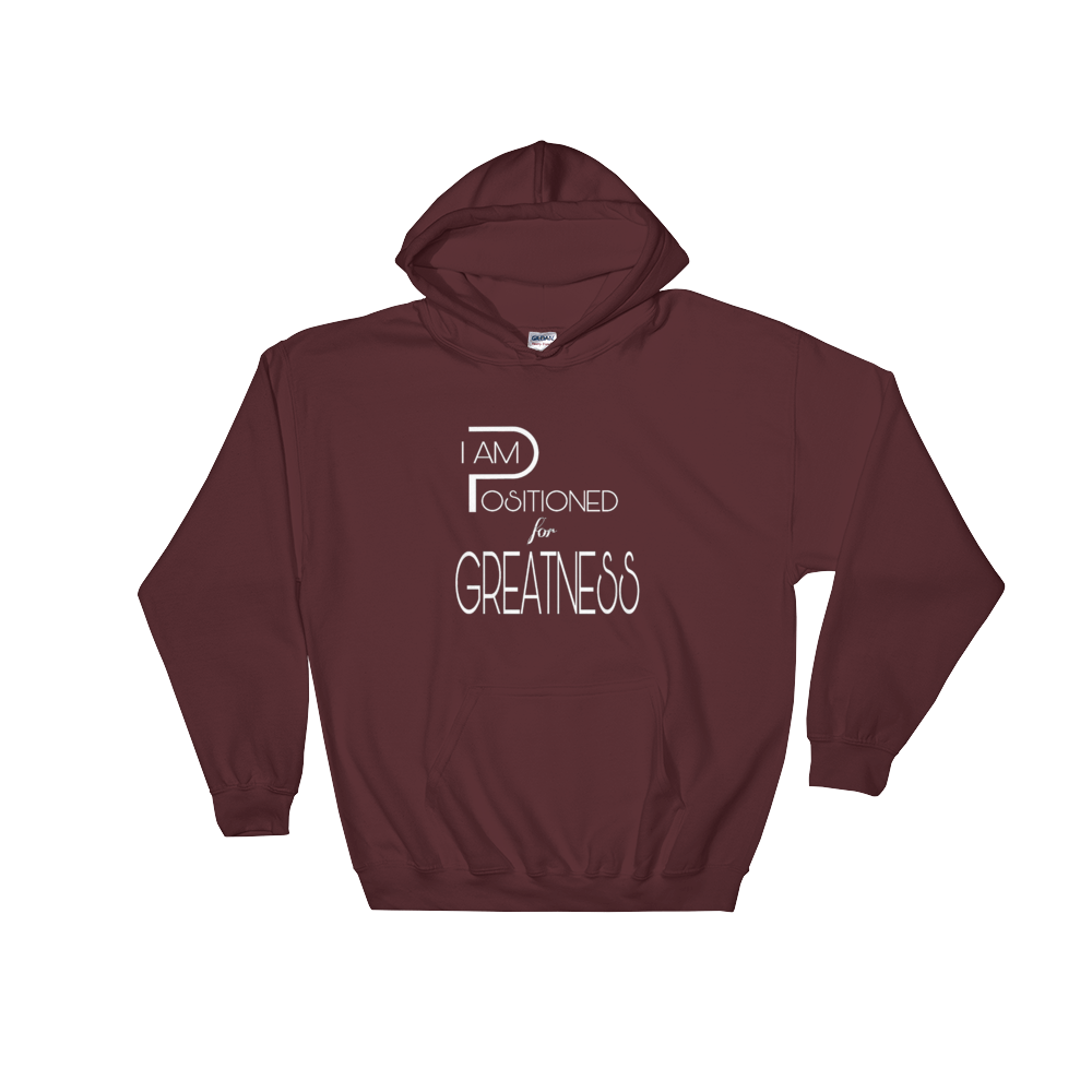 Positioned for Greatness Men/Unisex Hoodies - Be Ye AWARE Clothing
