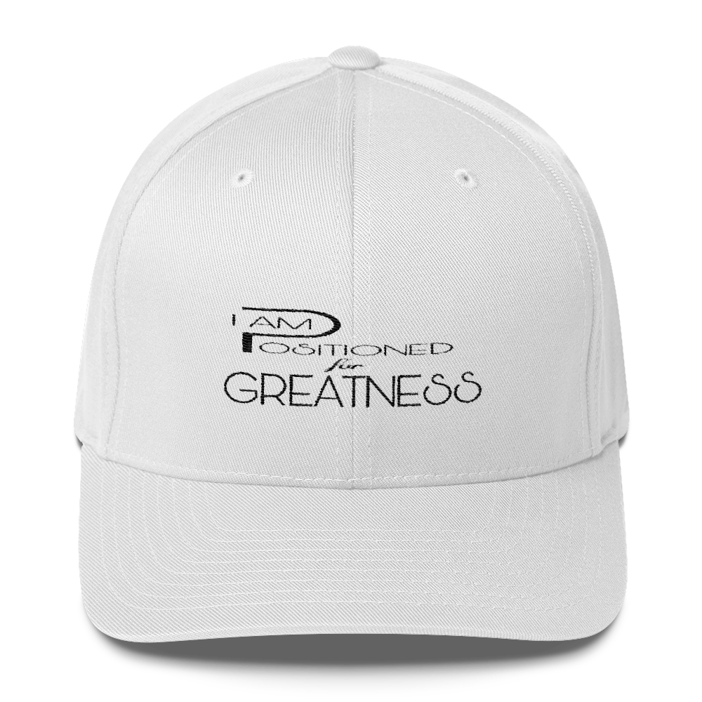Positioned for Greatness Flex Caps - Be Ye AWARE Clothing